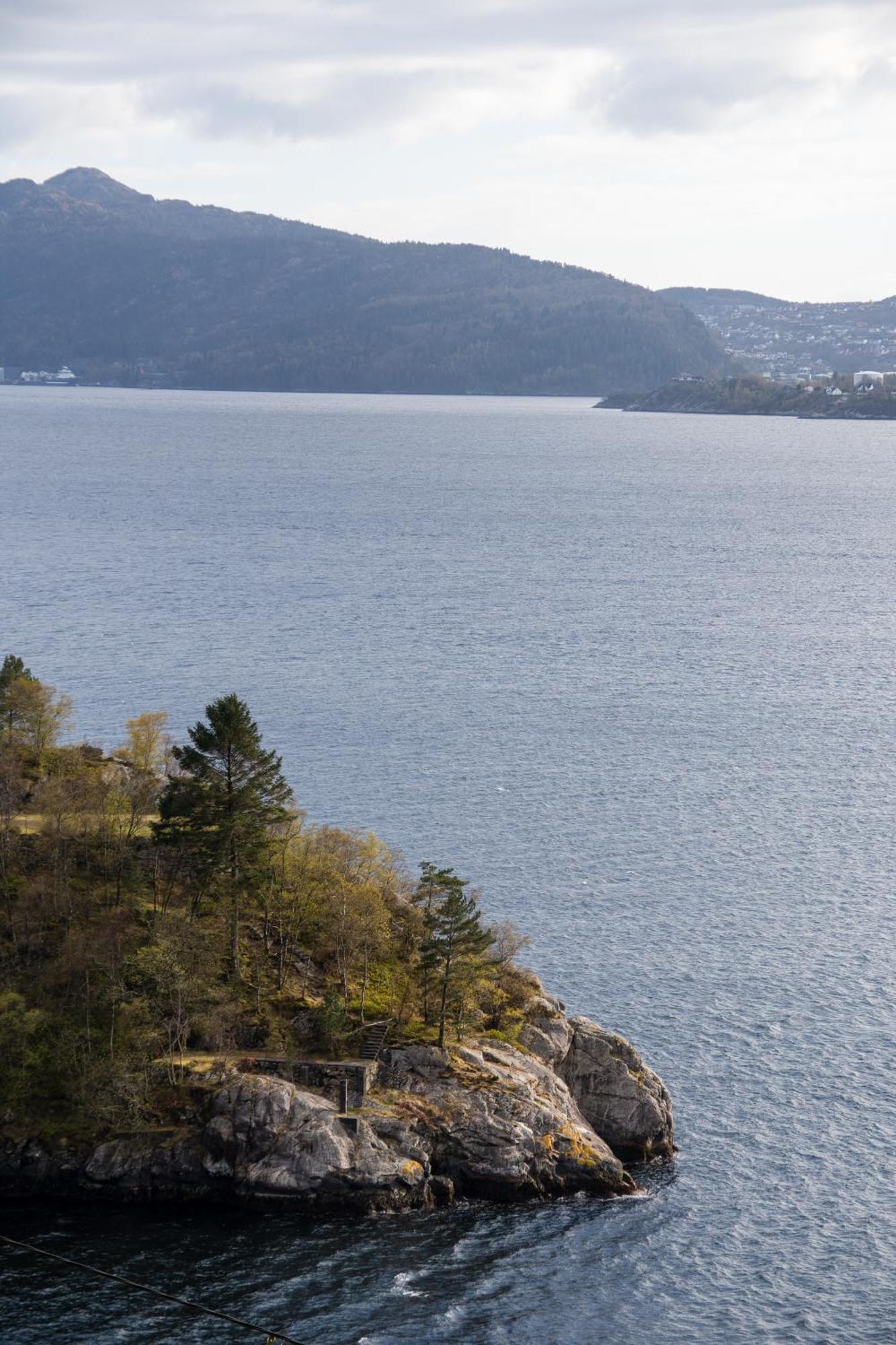 Golden Fjord-View Apartment Bergen Exterior foto